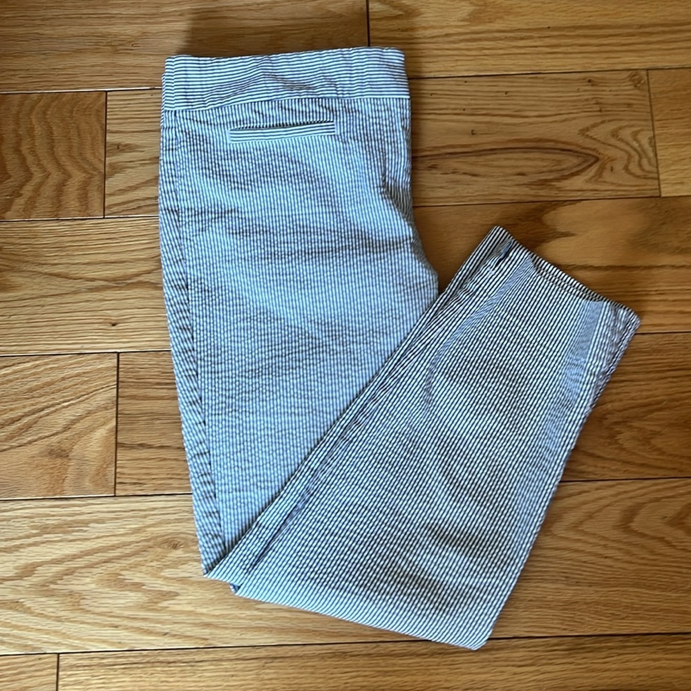 Ann Taylor Seersucker blue & white cropped pants Sz 10 - Picture 8 of 9